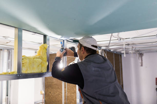 Best Residential Insulation in Greenwood, DE