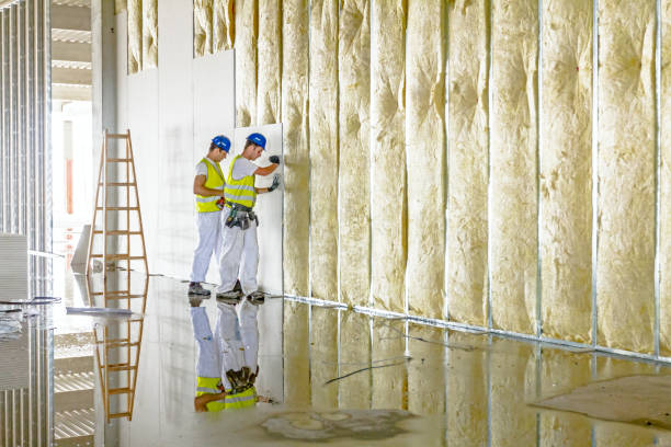Types of Insulation We Offer in Greenwood, DE